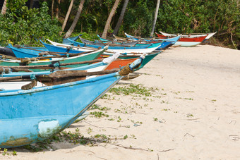 海滩树林中摆放的小船