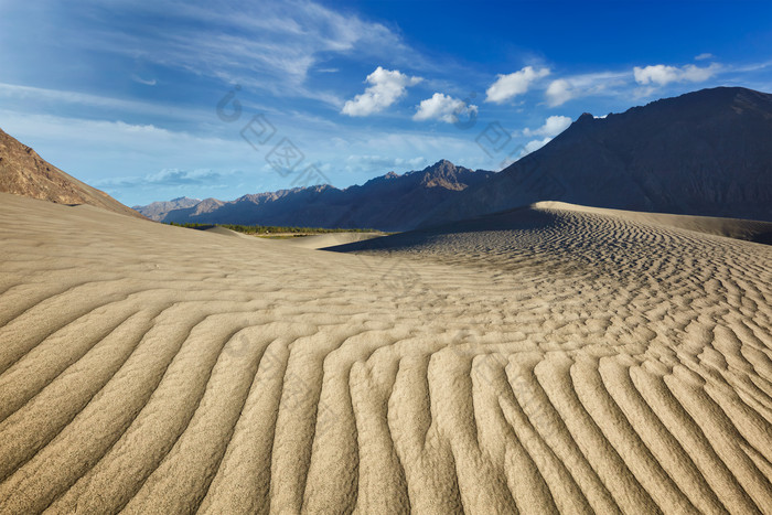 沙丘沙漠荒漠自然景观