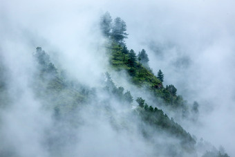 森林山林长满<strong>树林</strong>云层