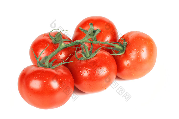 侧视一串番茄摄影图片