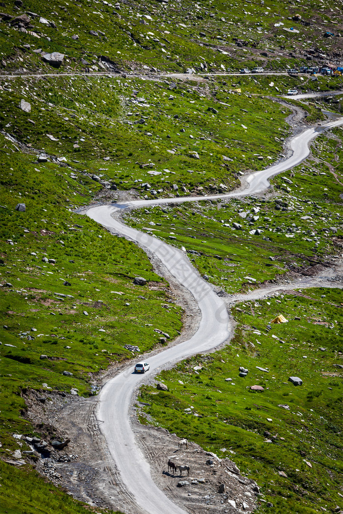 道路绿植山路景观