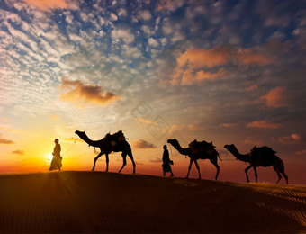 夕阳落下的几只骆驼剪影
