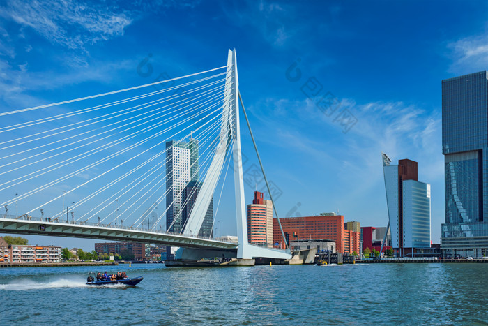鹿特丹荷兰桥欧洲