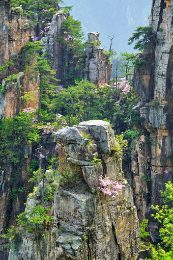 张家界山峰奇景<strong>视野</strong>图片