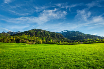 德国草原低草地绿色