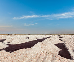 印度盐场晾晒场景摄影图