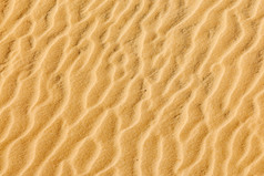 沙地上的花纹摄影图