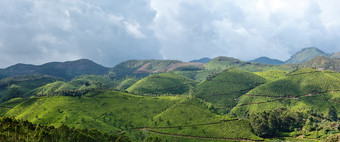 <strong>绿</strong>色植物山坡风景