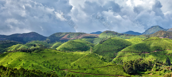 大自然绿色山坡风景