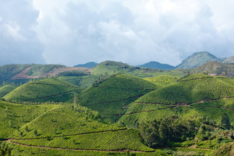 绿色青山山坡摄影图