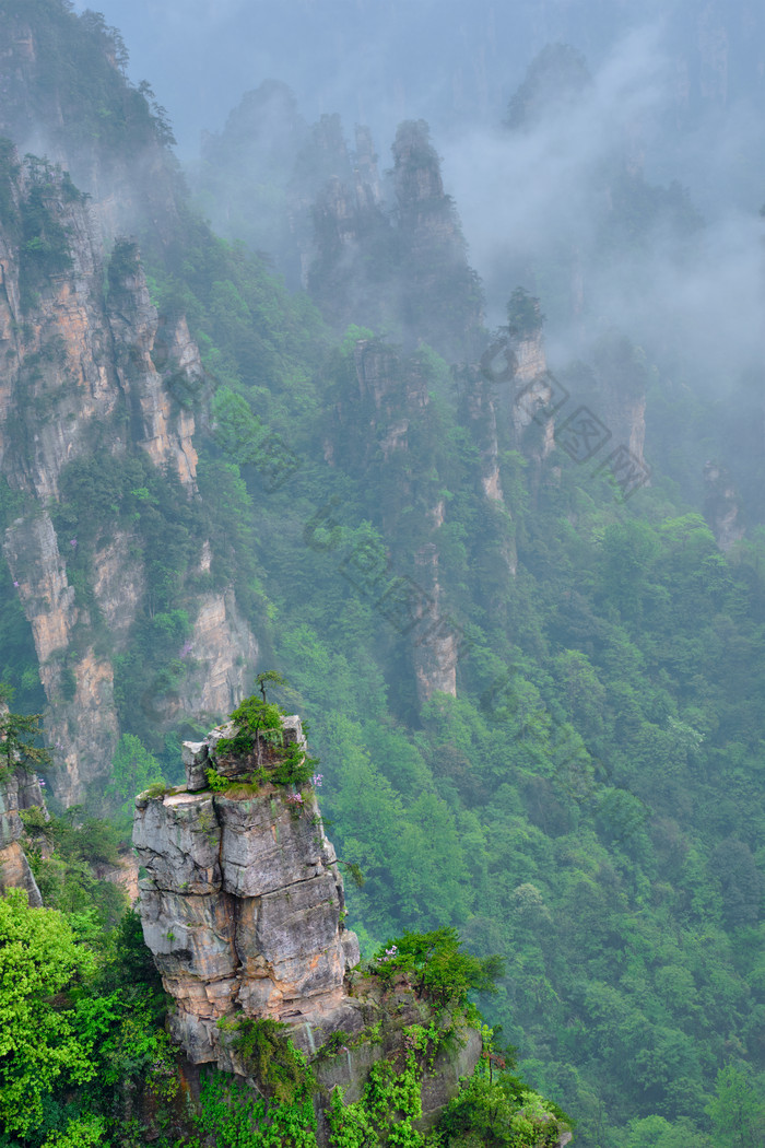 植被山峰风景摄影图片