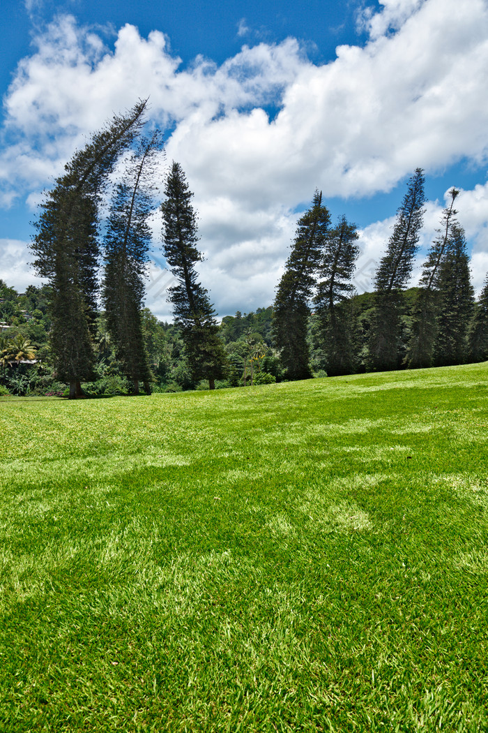 户外的没有人草坪上图片