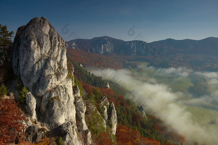 户外景色山崖松树摄影图