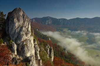 户外景色山崖松树摄影图