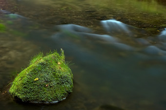 绿色青苔流水摄影图片