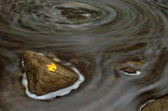 秋天秋季山泉流水<strong>落叶</strong>摄影图片