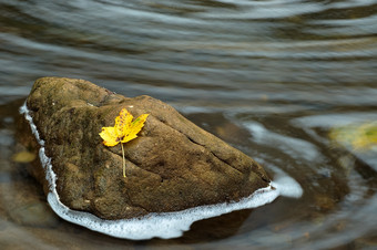 秋天秋季山间流<strong>水</strong>落叶摄影图片