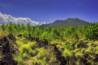 自然风景山峰树林摄影图