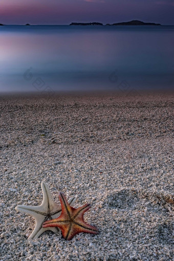 唯美隐蔽的沙滩上恩爱的海星摄影图
