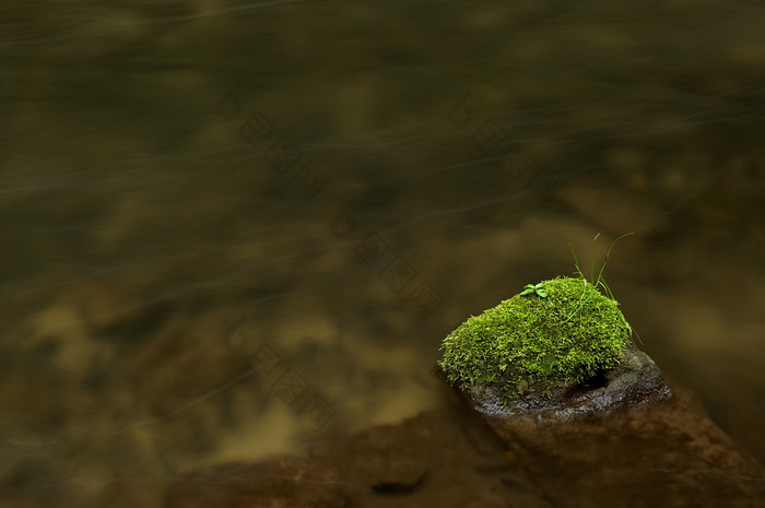 流水中岩石上的青苔摄影图片