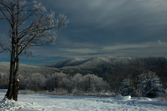 冬天傍晚雪后远山近树摄影图