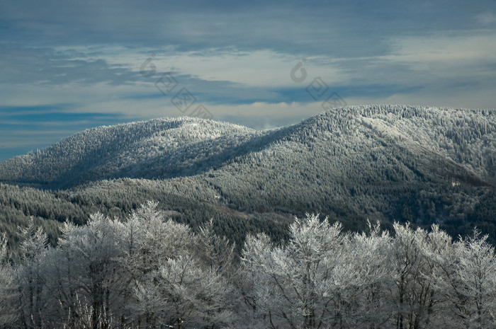 冬天下雪后的雪山树林摄影图