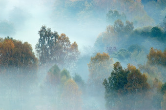 <strong>秋天</strong>云雾中的森林摄影图片