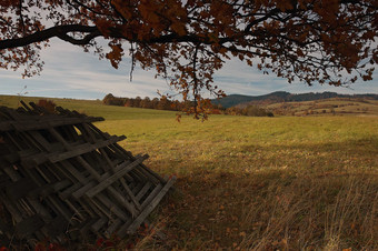 秋收一望无际的田园风光摄影图
