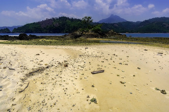 海边沙滩<strong>贝壳</strong>摄影图