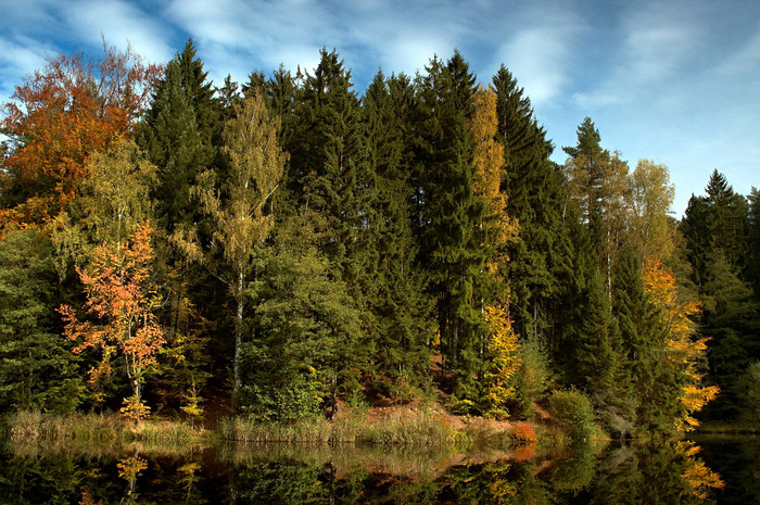 秋天秋季森林湖水摄影图