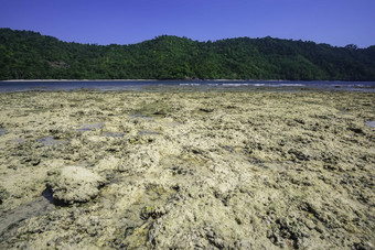 大自然<strong>风景</strong>海边石头摄影图片