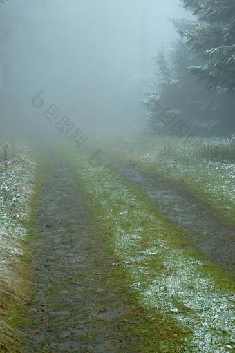 <strong>冬季</strong>多雾天气的林间小路摄影图片