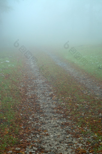 <strong>秋天</strong>秋季多雾天气的小路摄影图片