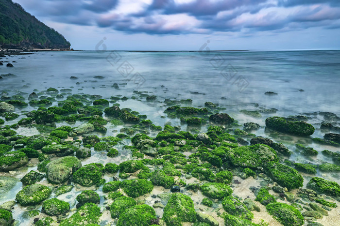 海滩上长满苔藓的石头摄影图