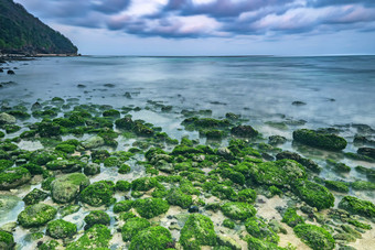 海滩上长满苔藓的石头摄影图