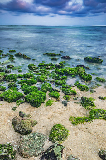 海边长满苔藓的石头摄影图