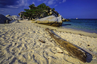 海滩美丽<strong>沙滩上</strong>的朽木摄影图