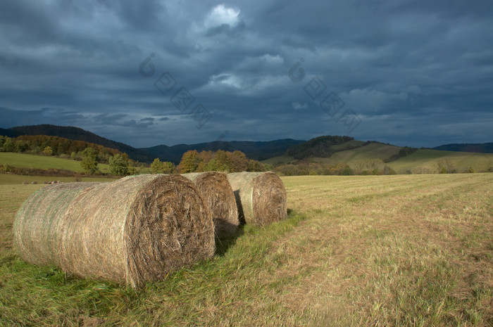 农业秋天秋季草地里的草卷摄影图片