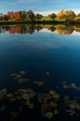 秋季凋落碧湖美景摄影图