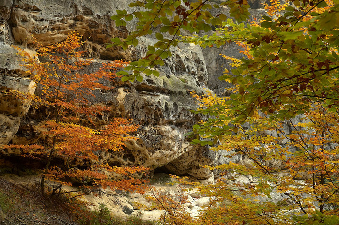 秋季山间风景摄影图