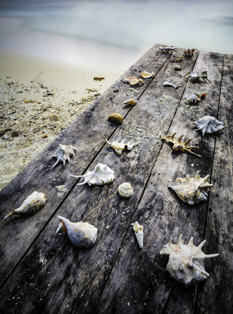 海边木板上的海螺贝壳摄影图