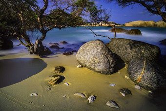 海边<strong>沙</strong>滩上树木岩石摄影图