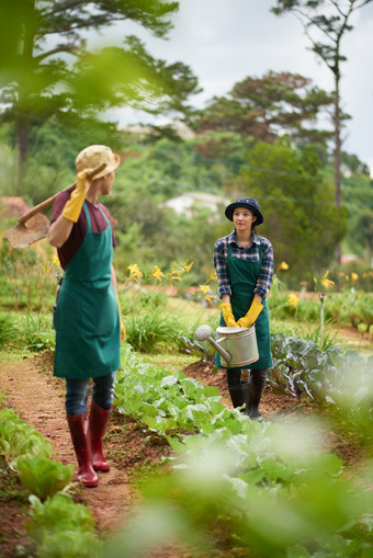 收获agroengineer园艺农业