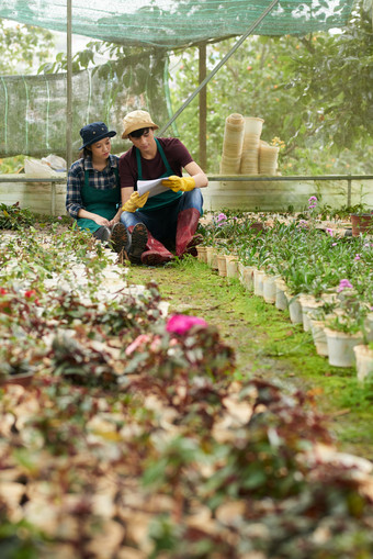 收获agroengineer园艺花卉栽培