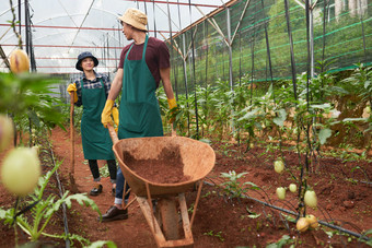 <strong>亚洲越南</strong>agroengineer农场