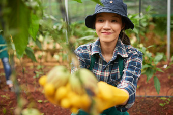 亚洲越南agroengineer农学