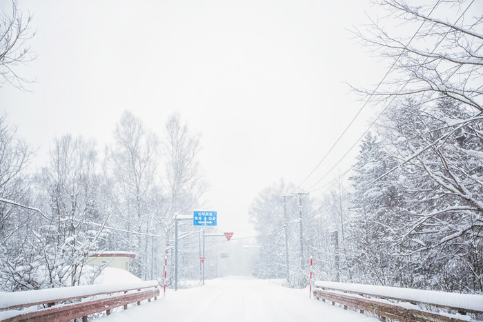 下雪天森林中的公路护栏