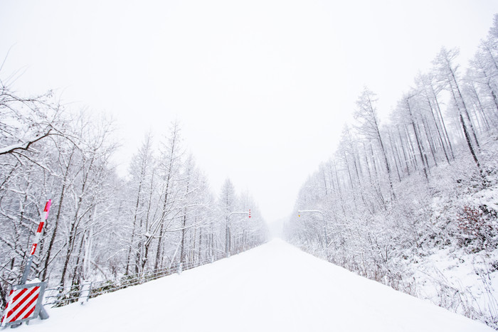 下雪天森林中的公路