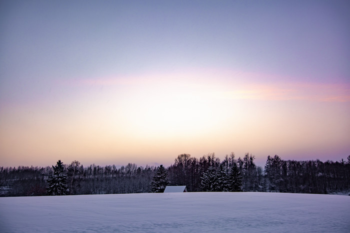 雪地里的森林夕阳
