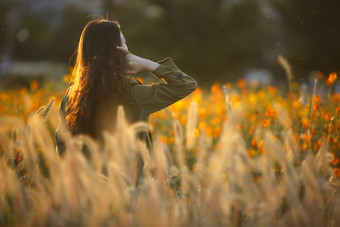 在金色<strong>花</strong>海<strong>中</strong>停留伫立的美女背影